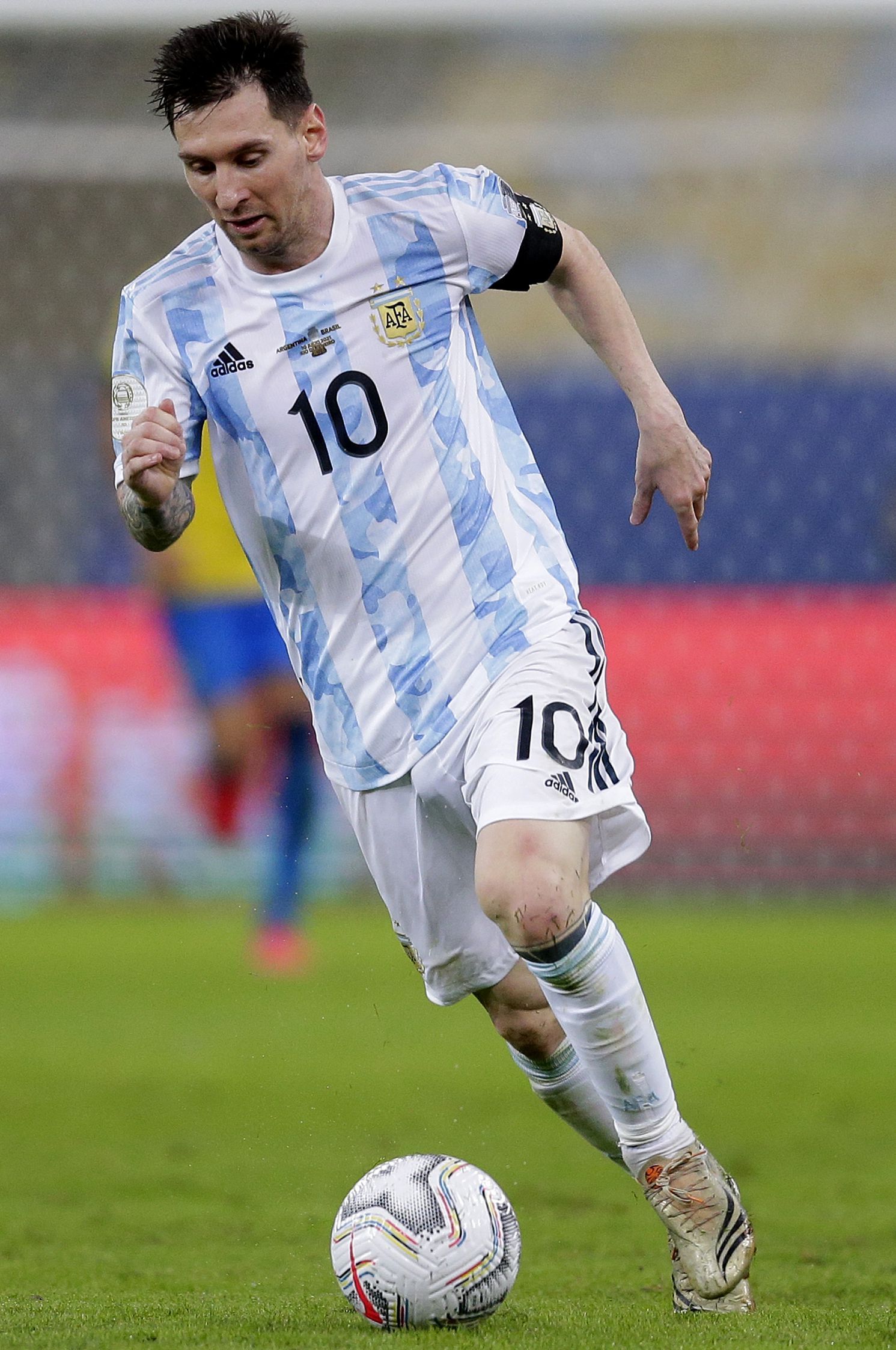 本轮的绿茵 本轮的绿茵